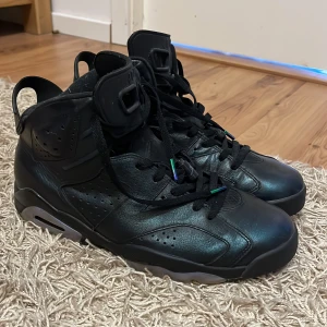 Jordan 6 chameleon strl 45 - Ingen box Skick 7/10 Inga fel 