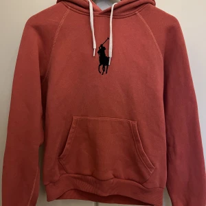 Hoodie - Super fin hoodie från Ralph lauren. Köpt för 1500kr
