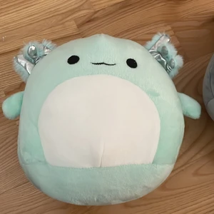 Squishmallow  - Finns en risk att den är fake så du är informerad om det, den kostar 130 + frakt men vi kan prata om priset frakt ligger antagligen på 52kr 