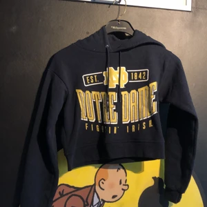 Magtröja-Hoodie  - Hoodie i magtröja format från champion. Storlek L. Knappt använd. Liten i storleken. 