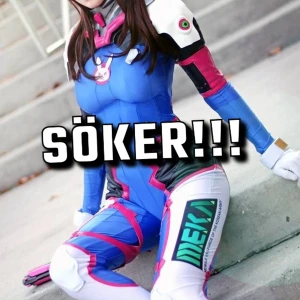 Dva cosplay Overwatch söker - Söker en Dva cosplay. Är villig att betala bra, och är intresserad i det mesta relaterat till dva. 