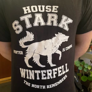 Game of thrones t-shirt strl S  - Supercool tröja från game of thrones i strl S, fint skick! 