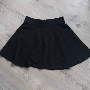 Helsvart kort kjol med dragkedja bak från HM. Använt den en gång.