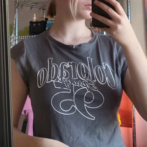 T-shirt med tryck  - Grå kortare t-shirt med Colorado Springs tryck från H&M!🙌 Använd fåtal gånger, men i fint skick 