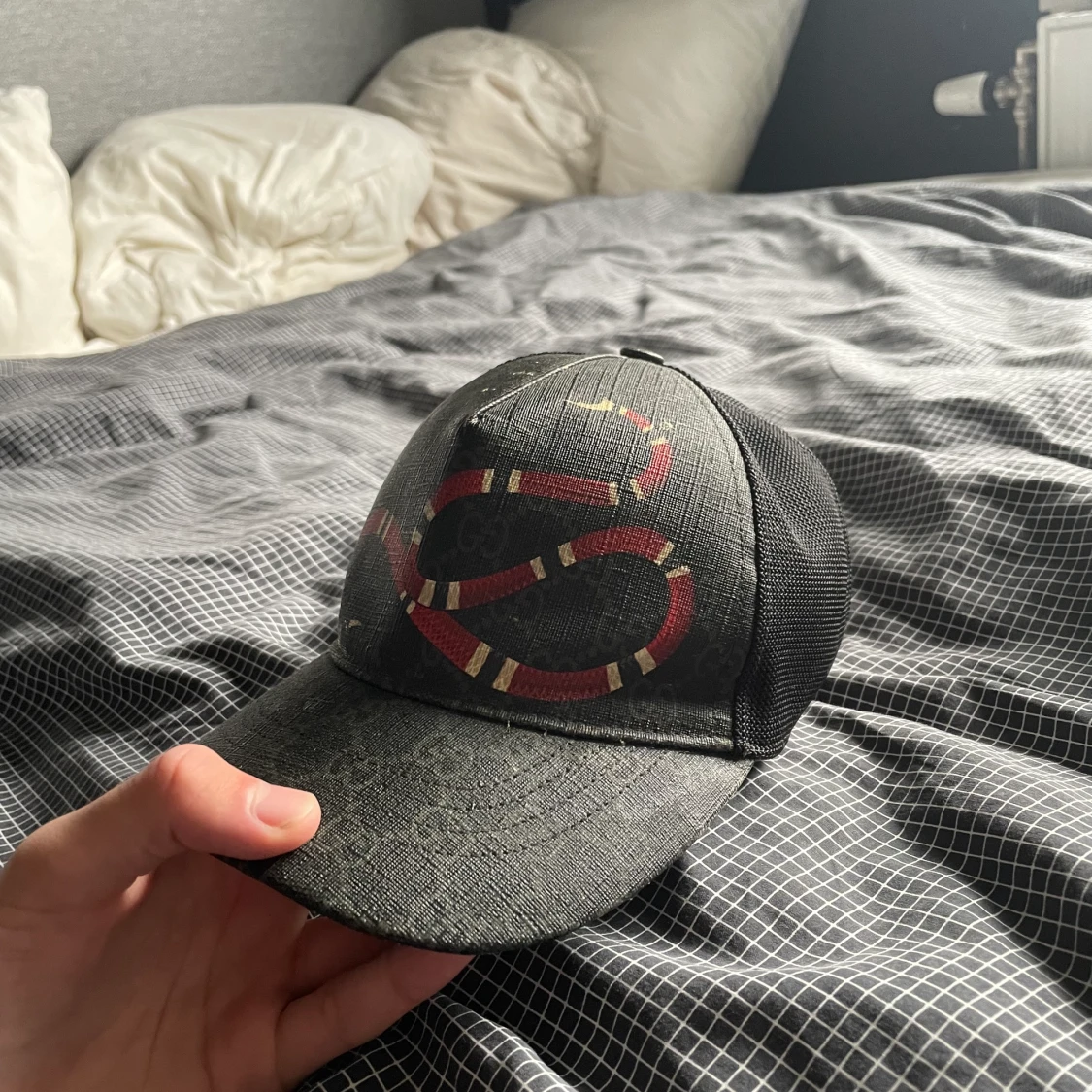 Gucci keps kingsnake