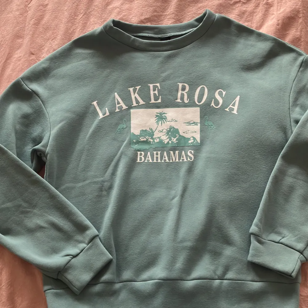 Crewneck sweatshirt turquoise lake rosa bahamas graphic polyester. Hoodies.