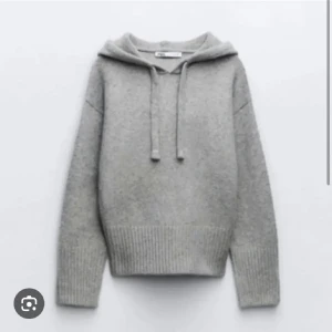Zara hoodie  - Extremt bra skick och jätte fin kommer dock inte till användning 💓Tillåter byten!! 