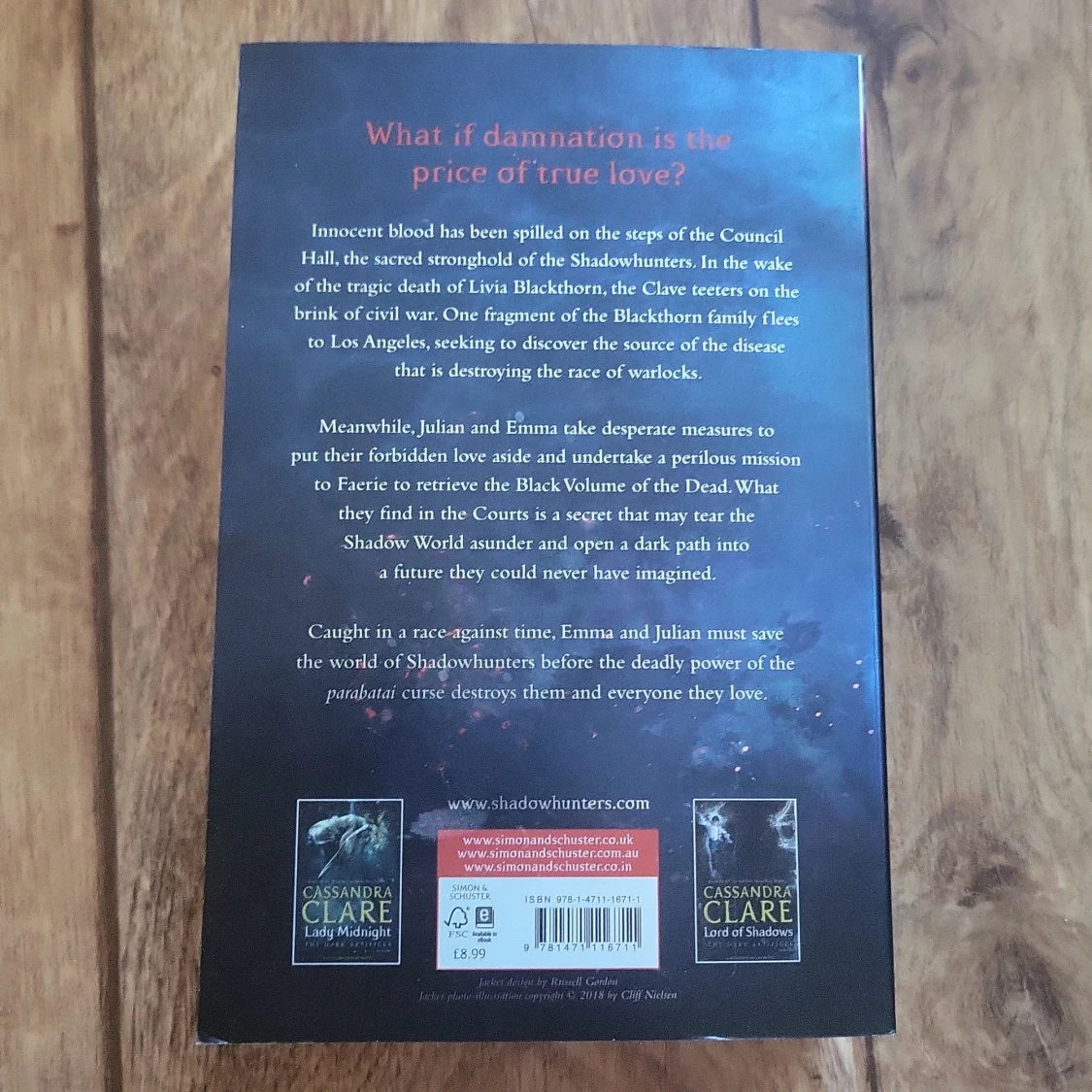 Queen of air and darkness - 91