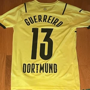 Dortmund Champions League tröja 2022 Guerreiro Storlek:S - Jättebra skick aldrig använd