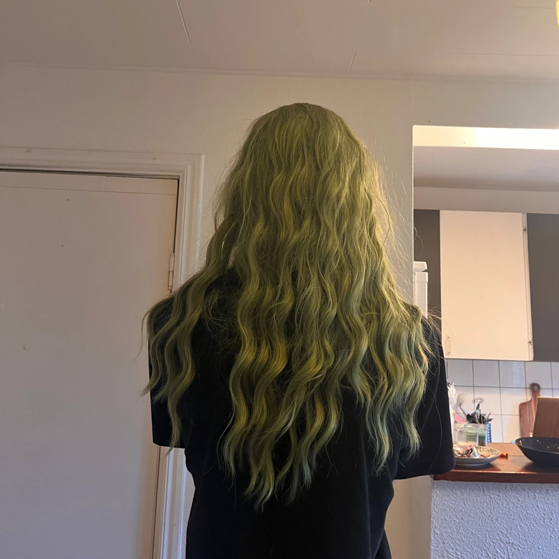 Lång grön peruk  - 91