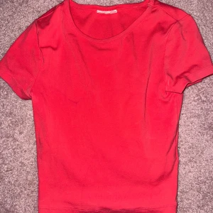 Väldigt rosa kortärmad topp - Säljer en snygg rosa/rödaktig topp från gina, inga defekter❤️