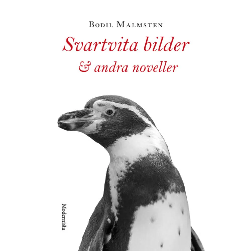 Bodil Malmstens novellistik har en tillkomsttid på betydligt flera år än det decennium som ligger mellan de novellsamlingar hon gav ut under sin levnad: Svartvita bilder [1988] och Undergångarens sånger [1998]. Den senare, vars berättelser är »passionshistorier«, om känslotillstånd pendlande mellan ömhet, åtrå och besatthet, är den som mest liknar ett sammanhållet verk. Men även inom samlingarnas ramar finns sviter med ett eget universum och logik, såsom de »Morfarsnoveller« i den första boken som gestaltar författarens barndom och uppväxten i den jämtländska byn Bjärme. När Bodil Malmstens novellistik här samlas inom samma pärmar, skapas en helhet som ger ett nytt perspektiv på ett av vårt lands mest älskade författarskap. BODIL MALMSTEN [1944-2016] föddes i Bjärme i Jämtland. Hon fick sitt genombrott med diktsamlingen Damen, det brinner! [1984] och kom att bli en av våra mest lästa och folkkära författare - med diktsamlingar, romaner, dramatik, samt sina »loggböcker«; sammanlagt ett trettiotal verk. Till de litterära priser Bodil Malmsten erhöll kan nämnas Aniarapriset 1996, Ivar Lo-Johanssons personliga pris 2005, den kungliga medaljen Litteris et artibus 2010 och Samfundet De Nio särskilda pris 2014. »Bodil Malmsten skrev med stetoskopet mot samhället som det slår inom oss. Folkhemmets dunkande ideal, systemskiftenas blåsljud, blodet i kamrarna. Det handlar alltid om de förlorade paradisen. Och om makterna som hotar dem.« Ulrika Milles, Dagens Nyheter     Format Inbunden   Omfång 333 sidor   Språk Svenska   Förlag Modernista   Utgivningsdatum 2019-05-03   ISBN 9789177818014  . Böcker.