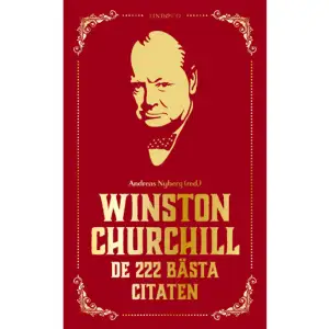 Britternas hjälte och ledare under andra världskriget, Winston Churchill, var en oslagbar citatmaskin. Många känner till 