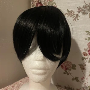 Kort svart peruk - Den har använts en gång. (Pälsdjur finns i hemmet🐈‍⬛) 