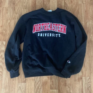 Champion vintage sweatshirt  - Grymt snygg sweatshirt bra skick inga defekter 