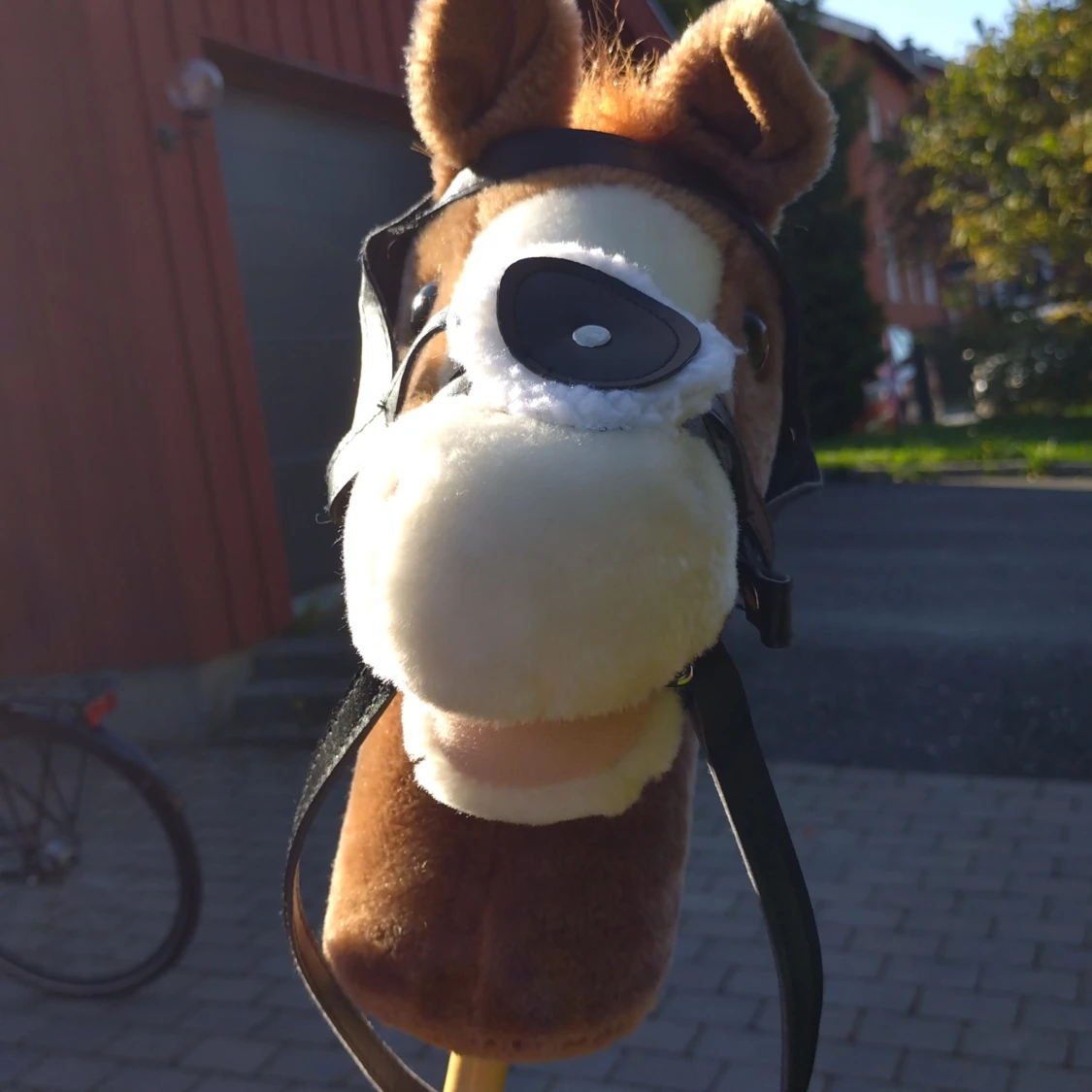 Fin käspphäst - 93