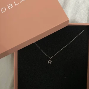 Edblad - Silver halsband från Edblad i super fint skick. Använd 2 gånger. Säljer då den inte kommer till användning. Förpackning medföljer inte🫶🏼