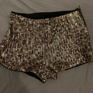  shorts med paljetter -  shorts täckta med glittriga paljetter. De har en dragkedja på sidan för enkel på- och avtagning.  Använda en kväll