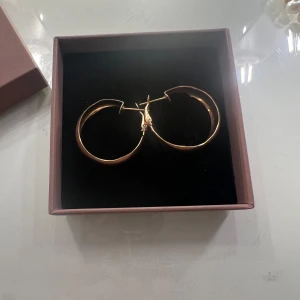 Guldiga örhängen - Snygga guldiga örhängen från ur och penn. Aldrig använda fast testade💕