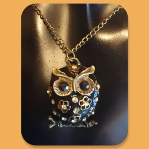 Halsband - Uggla 🦉 - Halsband Uggla 🦉oanvänd, kedjan är i antikguld och mått är ca 64cm, och Ugglan är 3.5cm. ✨️✨️✨️Titta igenom alla mina upplagda och köp fler saker i bundle för att spara på frakten och få allt du köpt i ett och samma paket✨️✨️✨️