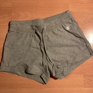 Sweatshirt shorts  - Champion shorts  Lappen är otydlig men tror det var S