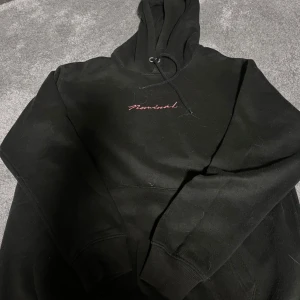 Svart hoodie från Nominal - Säljer en svart hoodie från Nominal med ett coolt Mount Fuji-tryck på baksidan. I bra skick. Finns katthår på tröjan som man ser men det tas bort innan köp🤗. Skriv vid frågor. 