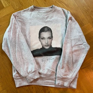 Anine bing kate moss sweatshirt gott skick stl S - Gott och fint använt skick.  nypris ca 2200kr  färg heather gray. vFinns några märken om man tittar noggrannt men inget som syns vid anvönda de. såsom halsring och arm. Priseet reflekterar prissättningen.  stl small dock oversized