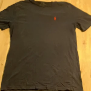 Polo Ralph Lauren t-shirt - Bra skick bara att märkningen på den är lite  sliten.