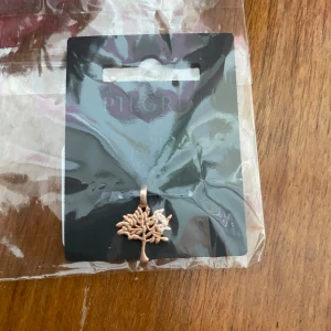 Ny berlock Pilgrim  - Ny berlock i rosé från Pilgrim. Inköpspris 129.