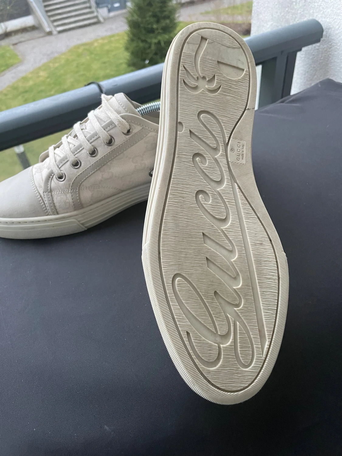 Gucci Canvas Low 