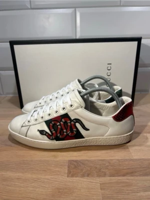 Gucci ace snake skor - Gucci ace snake skor i storleken 42- skick 8/10 allt og förutom box priset är ej hugget i sten