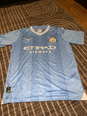 Manchester City matchtröja Puma - Snygg Manchester City matchtröja från Puma i ljusblått med vita detaljer och ränder. Tröjan har klubbmärke på bröstet, Etihad Airways-tryck och klassisk v-ringad krage med vita och blå linjer. Perfekt för fotbollsfans som vill visa sitt stöd.