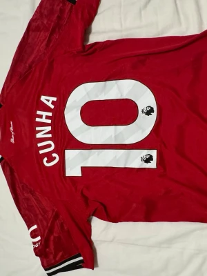 Manchester united matchtröja - Aldrig använt, önskade jag kunde behålla den är felkfri tröja som jag köpte men inte passar mig därför säljer jag den skriv om bingar fler frågor.