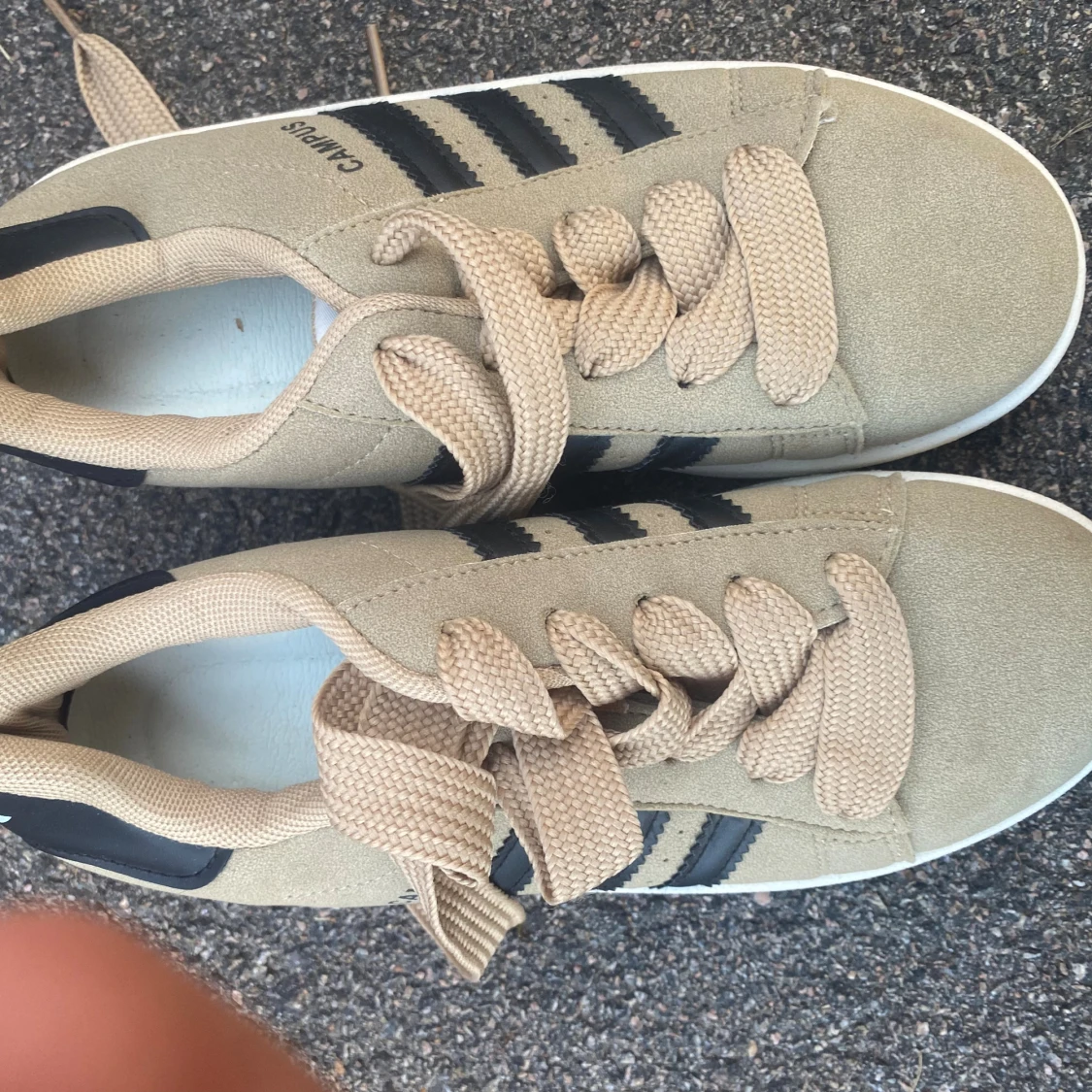 Beige Adidas Campus sneakers