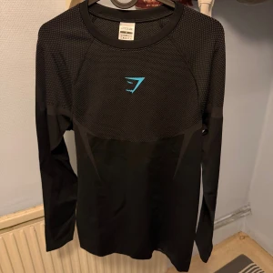 Gymshark Onyx V5 longsleave M - Svart långärmad träningströja från Gymshark med blå logga på bröstet. Tröjan har meshpaneler upptill för extra ventilation och är tillverkad i ett lätt syntetmaterial som andas. Perfekt för gymmet eller löpning.