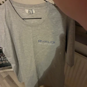 Bvaldi  - Bvaldi tröja L!