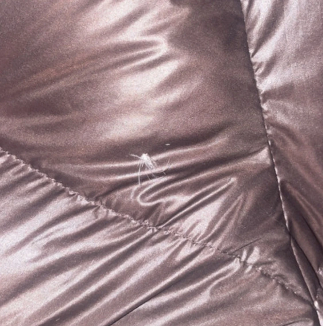 Mörkbrun pufferjacka med huva från masimo dutti - 1