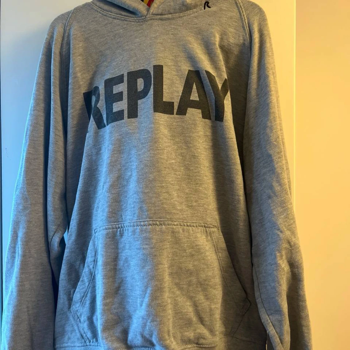 Grå hoodie från Replay med tryck