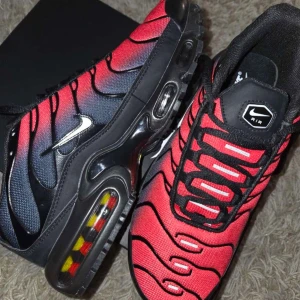 Nike Air Max Plus röd och mörk blå - Nike Air Max Plus sneakers i rött och mörk blå (helt nya) 