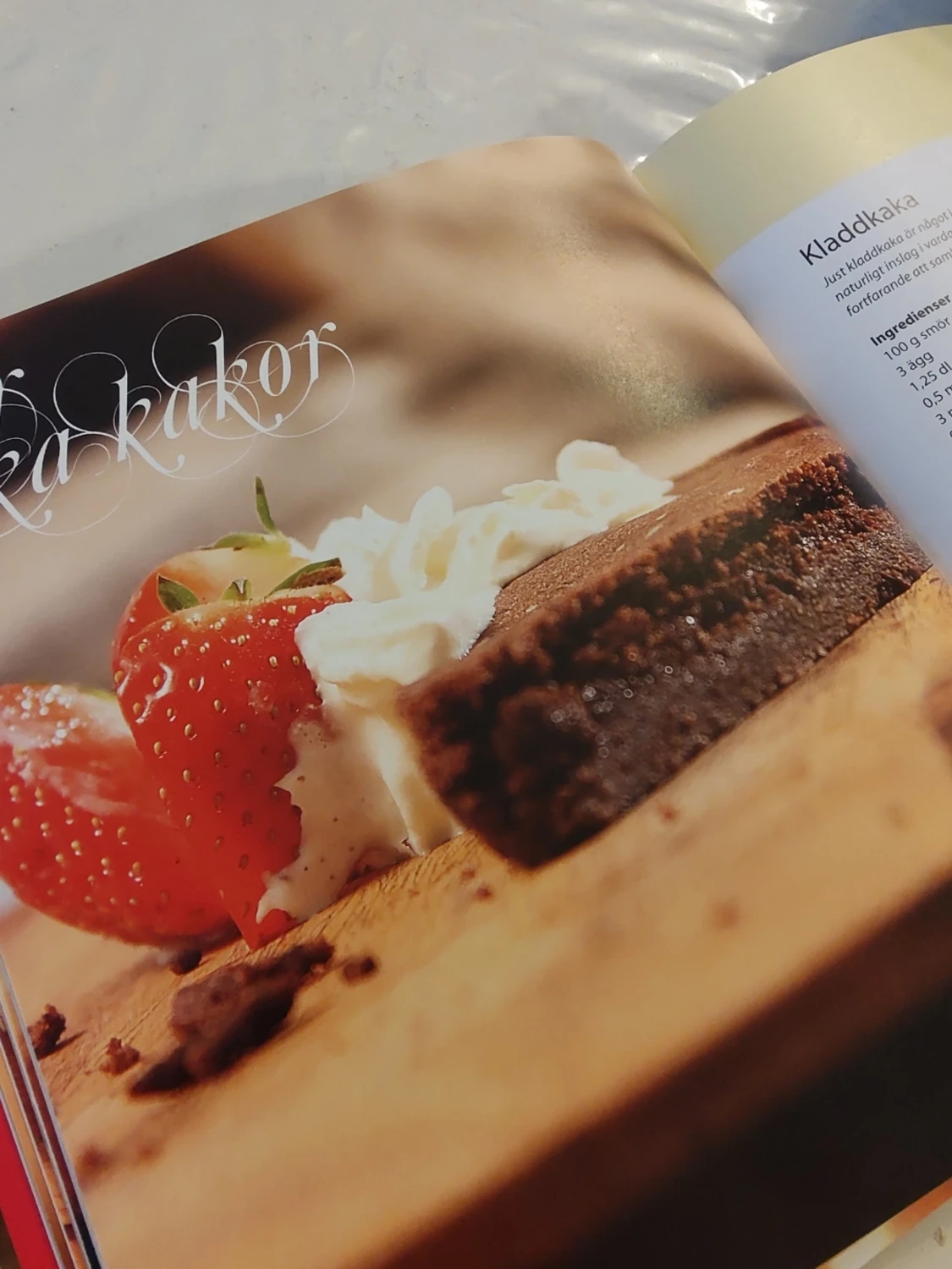 Bakbok - Baka utan Socker och Mjöl  - 2