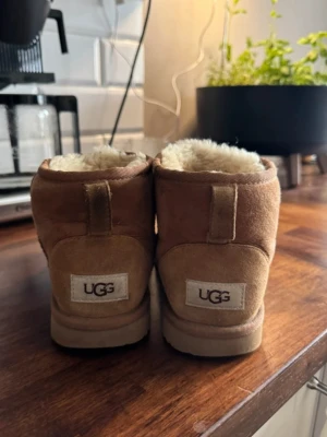 Bruna Uggs  - Storlek 36. Väl använda 