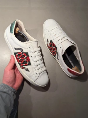 Gucci Skor  - ‼️VI TAR INGA BYTEN‼️ Gucci ”Ace” Sneakers | Skick: 8,5/10 | Storlek UK 8 motsvarar 42-43 EU  | Tillkommer Gucci kort vid köp! | Frakt sker inom 24 timmar efter köp 📦💨 | Hör av dig vid minsta fråga eller fundering 💭