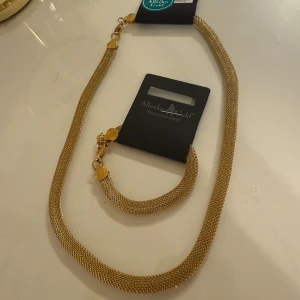 Guldig halsband & armband Albrekts Guld - Säljer ett matchande set med halsband och armband från Albrekts Guld i rostfritt stål. Båda har en snygg guldig färg och är gjorda i ett tätt, flätat meshmönster. Perfekt för dig som gillar stilrena och tidlösa smycken.