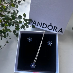Pandora silverblå blomset smyckeset - Snyggt smyckeset från Pandora med halsband och örhängen i silverfärg. Både halsbandet och örhängena har blommor med blå och vita stenar som ger en fräsch och glittrig vibe. Perfekt för dig som gillar detaljer och vill sticka ut med något unikt. #pandora