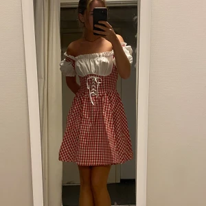 Oktoberfest klänning  - Perfekt skick, använd en gång. Köpt på partaj för 999