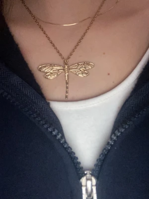 Trollslända  - Säljer en fint halsband med en trollslända på, andvänts 2 gånger 