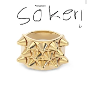 Guldfärgad ring med nitar - Hej!💞 söker en Edblad ring i st 16.0. Vill gärna köpa den för cirka 50- 100 kr. Helst inga tydliga repor på den skulle uppskattas!