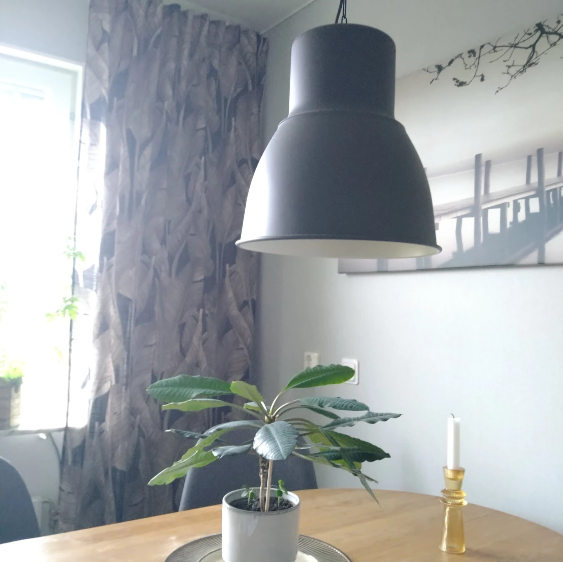 Hemtex 1 gardin längd