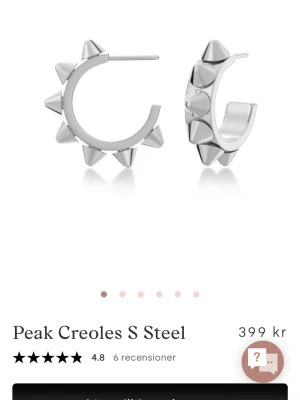 Peak Edblad örhängen  - Helt nya💕 använda 5ggr