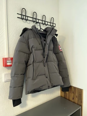Grå Canada Goose jacka  - Säljer en grå pufferjacka från Canada Goose med huva och ikonisk logga på ärmen. Jackan har dragkedja och knappar framtill, två stora fickor och quiltad design. Perfekt för kalla dagar och riktigt snygg till vinterlooken.